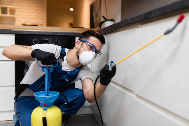 Best Pest Control Cost  in Lawton, MI