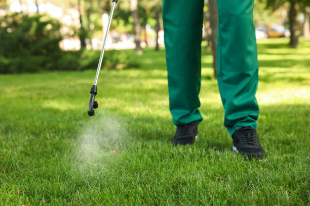 Best Mosquito Control Services  in Lawton, MI