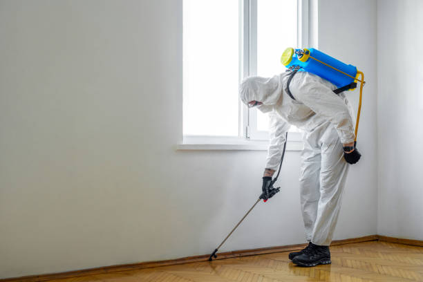Best Ant Control Services  in Lawton, MI