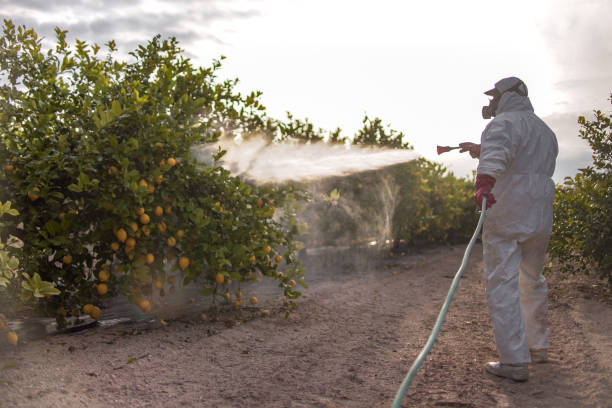 Trusted Lawton, MI Pest Control Experts