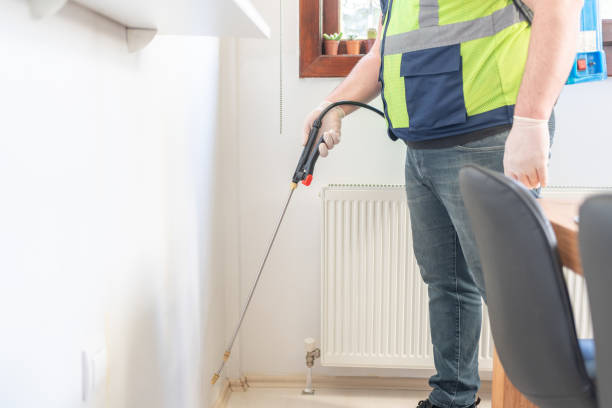 Best Termite Control Services  in Lawton, MI