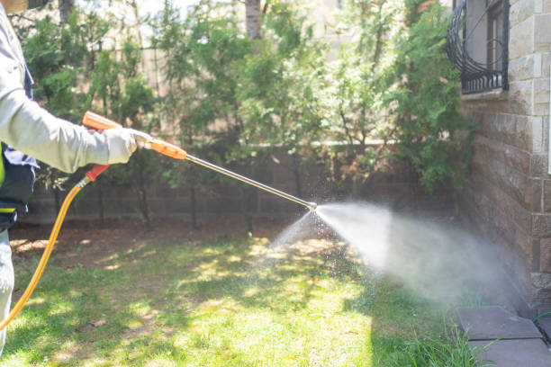 Best Local Pest Control Services  in Lawton, MI