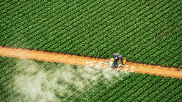 Pest Control Cost in Lawton, MI
