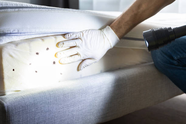 Best Wildlife Control Services  in Lawton, MI
