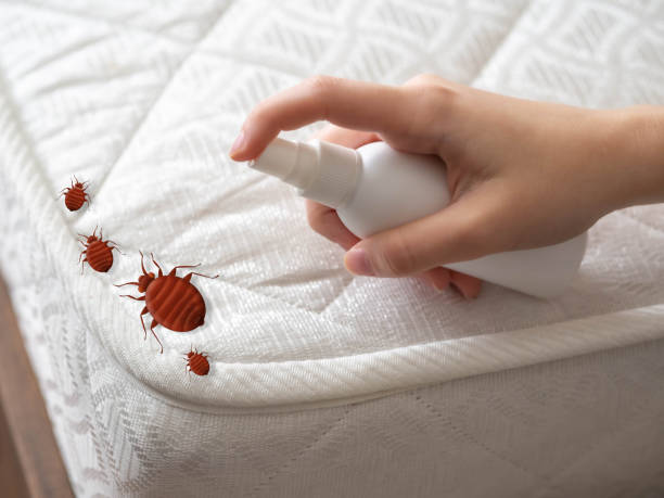 Best Pest Removal Services  in Lawton, MI