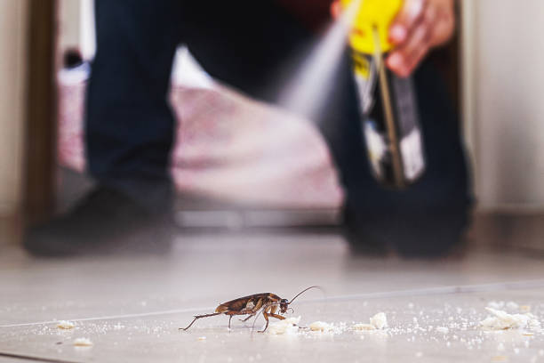 Best Pest Inspection Near Me  in Lawton, MI