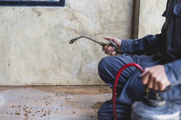 Best Exterminator Services  in Lawton, MI